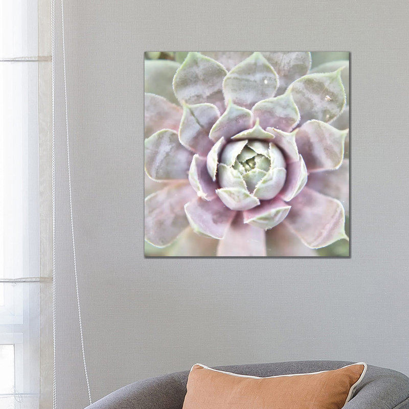 Succulent Glow I by Jason Johnson - Wrapped Canvas Print, 66.04 cm H x 66.04 cm W x 1.91 cm D