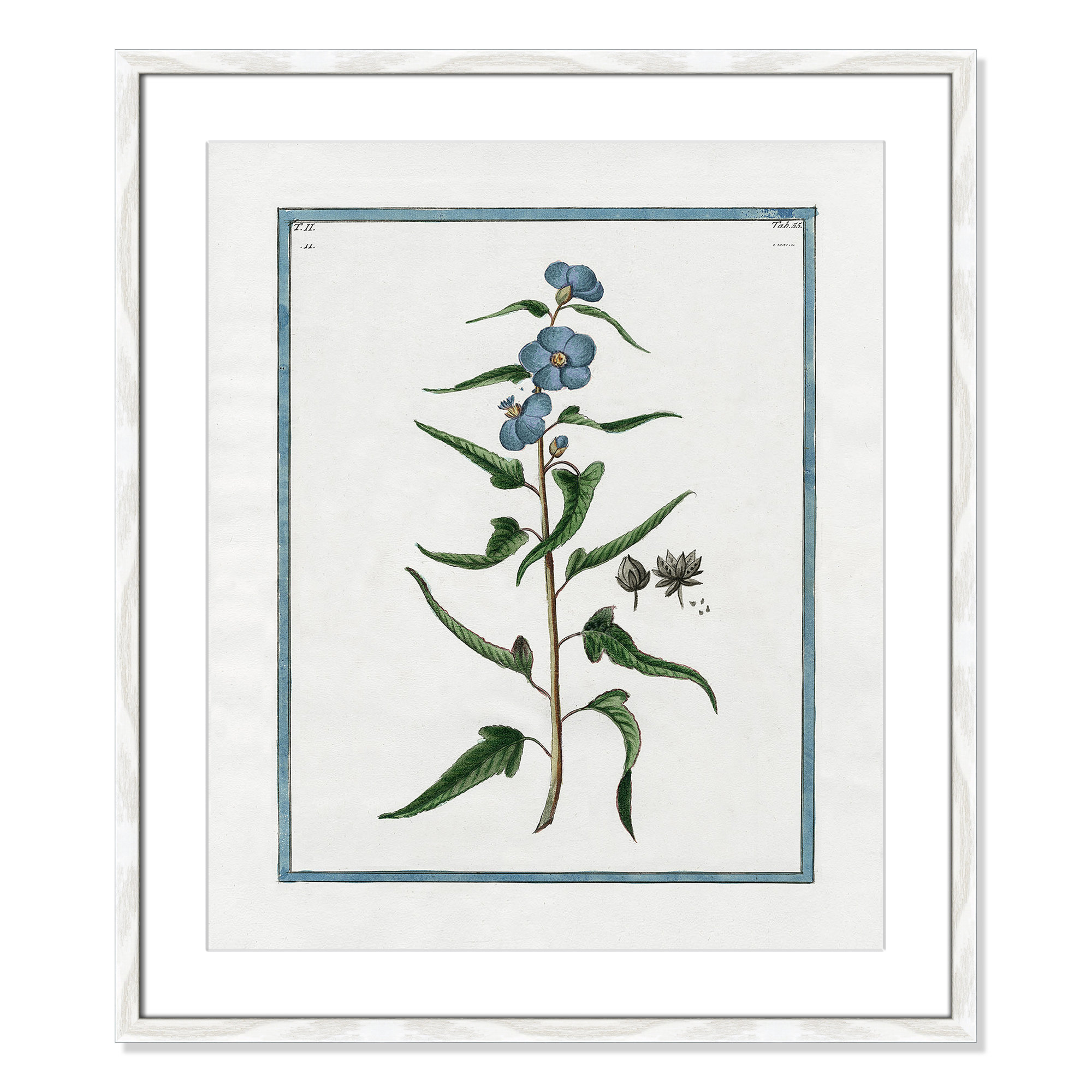 Shabby Elegance Botanical I - Framed Art Full Bleed, White Framed, 21.5" W x 25.5" H