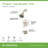 Origins Temperature Control Tub and Shower Faucet Trim Kit - 1.5 GPM (Valve Not Included)-1931802253