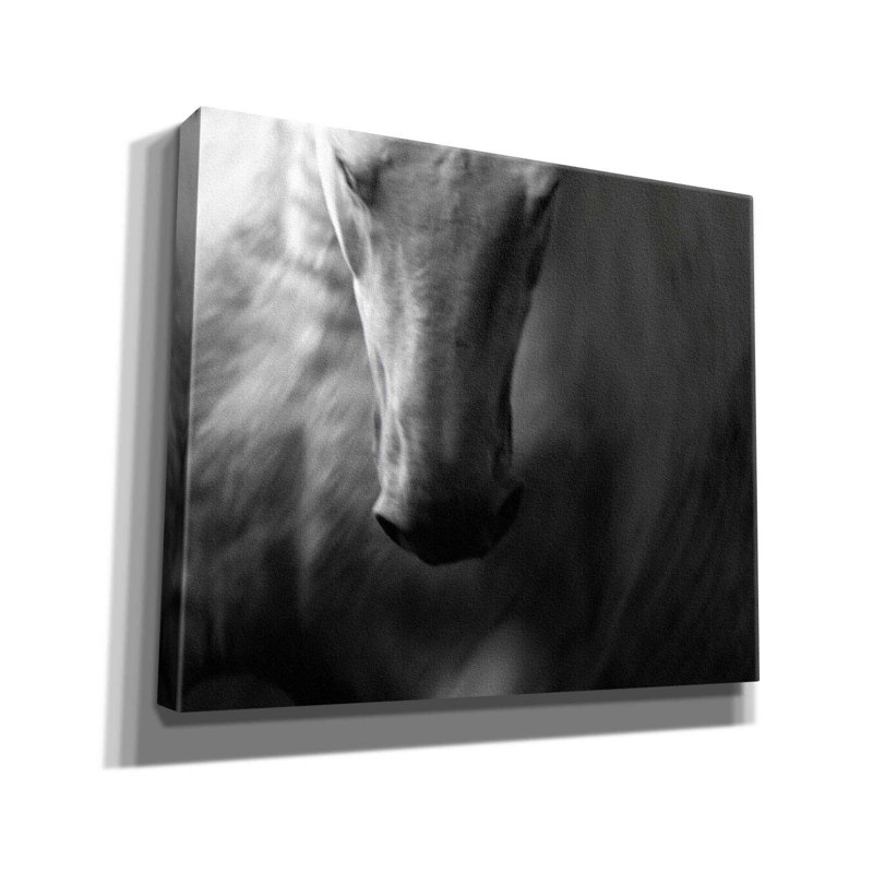 «fado1» par Susan Friedman,, H 20 po x l 24 po x P 0,75 po