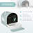 Cat Litter Box with Lid