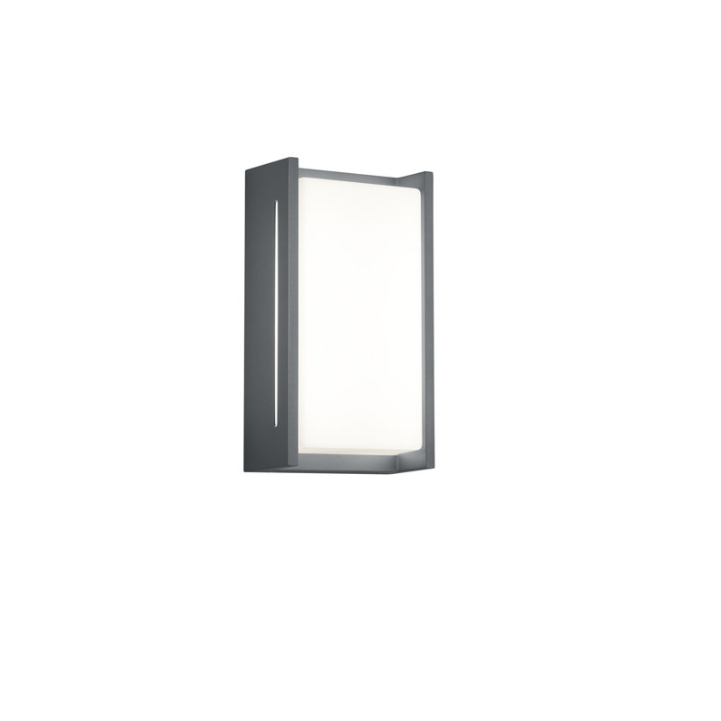 Mccary LED Outdoor Sconce