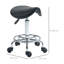 Rajmund Adjustable Height Ergonomic Lab Stool with Removable Casters/Wheels