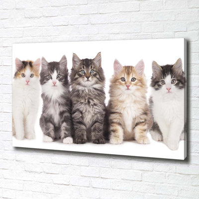 Six Cats - Wrapped Canvas Print