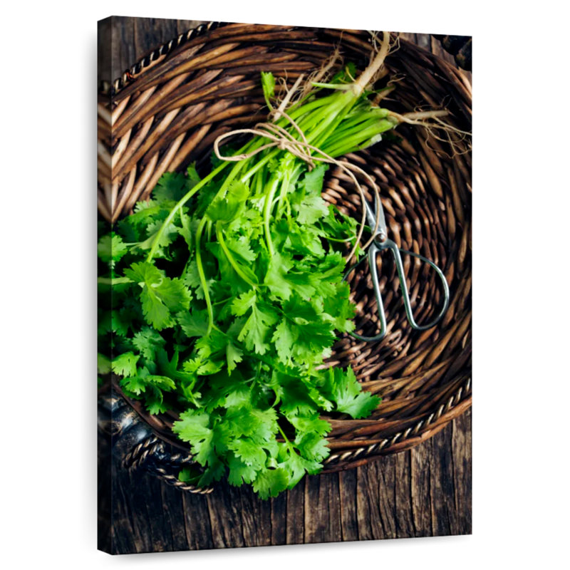 Harnek Bunch Of Cilantro, 30" H x 20" W
