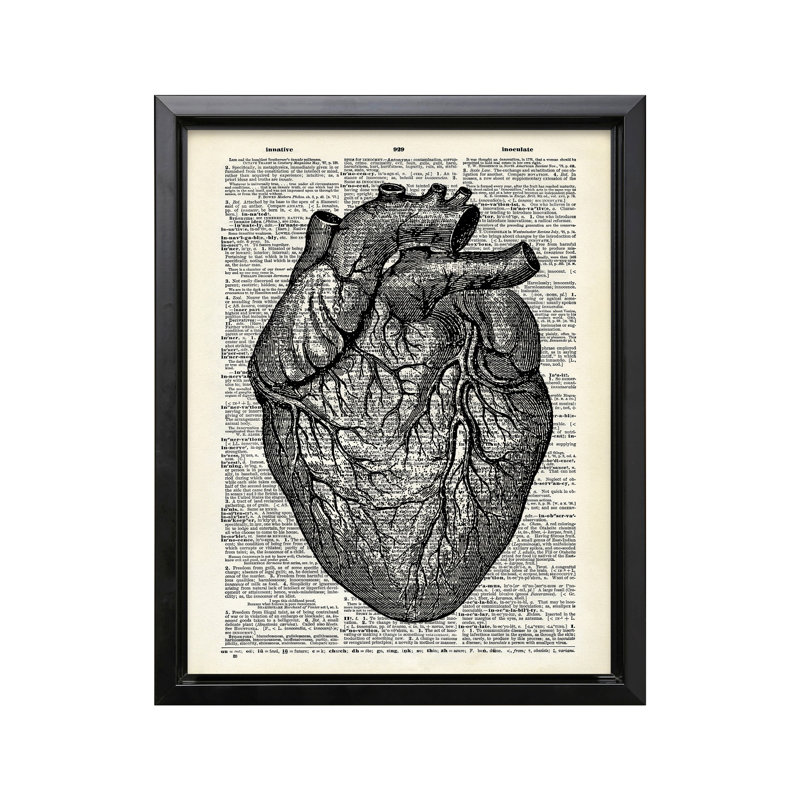 Anatomical Heart, Black Framed, Canvas, 16"H x 20"W