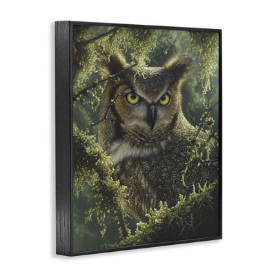 Hibou à regarder et à attendre, estampe numérique, conception par Collin Bogle