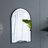 Iron Frame Vertical Arch Mirror
