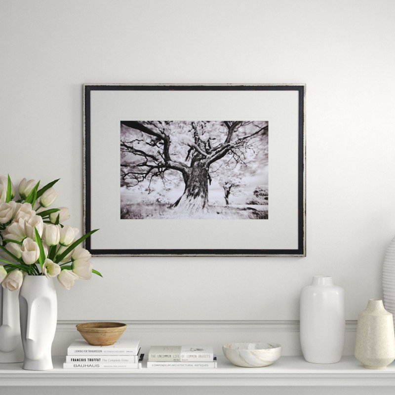 Tree Study II Print by Stawiorz