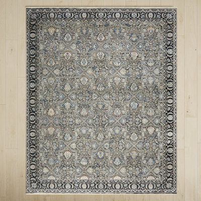 Halle Oriental Indoor Rug