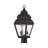 Arelene Lantern Head-917729113-917729117