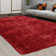Large Red Washable Shag Area Rugs Non-Slip Fluffy Shag Plush Fuzzy Shaggy Rug for Living Room, Bedroom, Home Decor