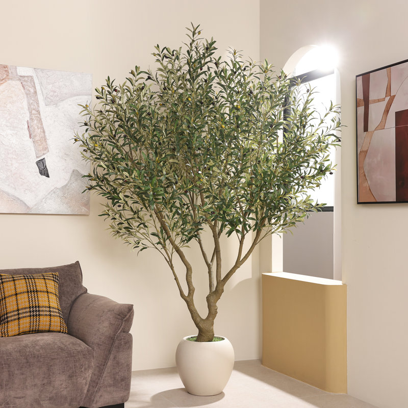 Ashwell 96"H  Artificial Olive Tree with White Planter
