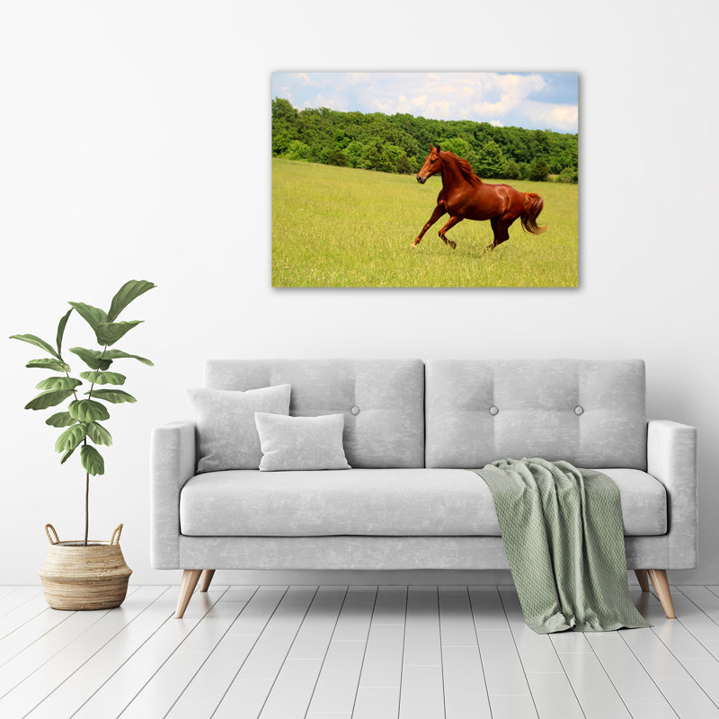 Horse On The Meadow - Unframed Art Prints on Glass