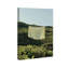 Floating Cotton II Canvas Bath & Laundry Print by Oliver Gal, Black Frame, 10 x 15-1632188875-1858074896