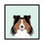 Shetland berger, impression sur toile tendue-19741983-74740430-74740431