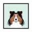Shetland berger, impression sur toile tendue-19741984-74740430-74740431