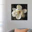 Magnolia I by John Seba - Print on Canvas-69443218-101339533