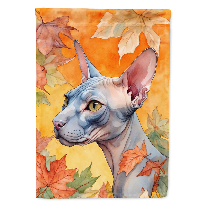 Chat en feuilles d'automne, Donskoy Don Sphynx