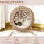 Lit surélevé pour chat, beige avec un intérieur confortable et confortable