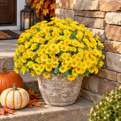 Artificial Outdoor Mum Floral Bundles for Planters, Yellow, Set of 6