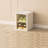 2 Pair Stackable Shoe Storage Box