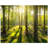 Trees Photo 6'' x 6'' Satin Ceramic Decorative Mural