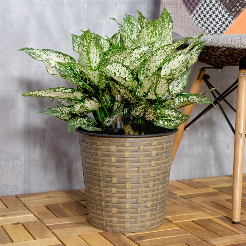 Self-watering Wicker Decor Planter