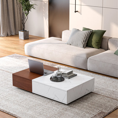 Table basse de style moderne avec deux espaces de rangement