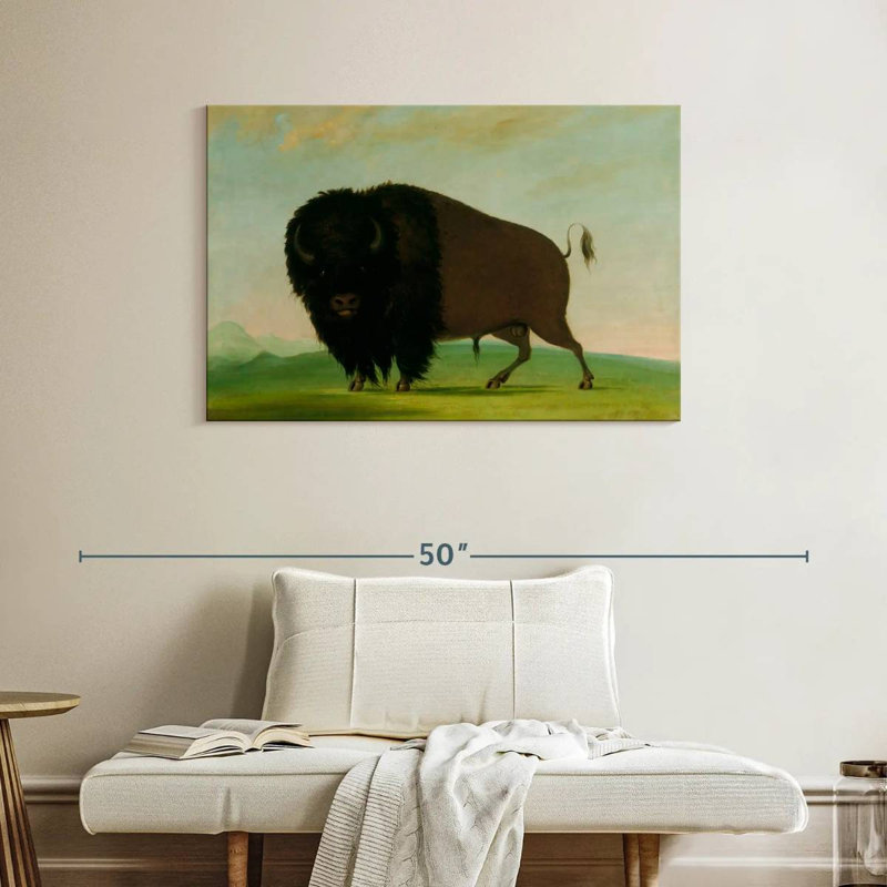 Taureau Brampt broutant dans la prairie, H 26 po x l 39 po