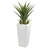 Spiky Agave Artificial Plant in White Planter