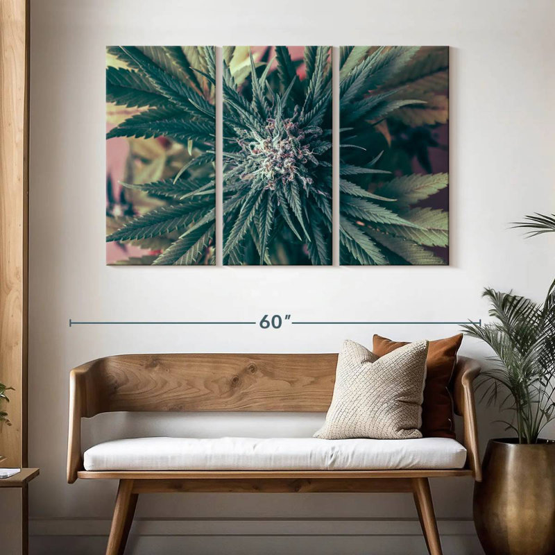 Marijuana Blossom, H 32 po x l 50 po