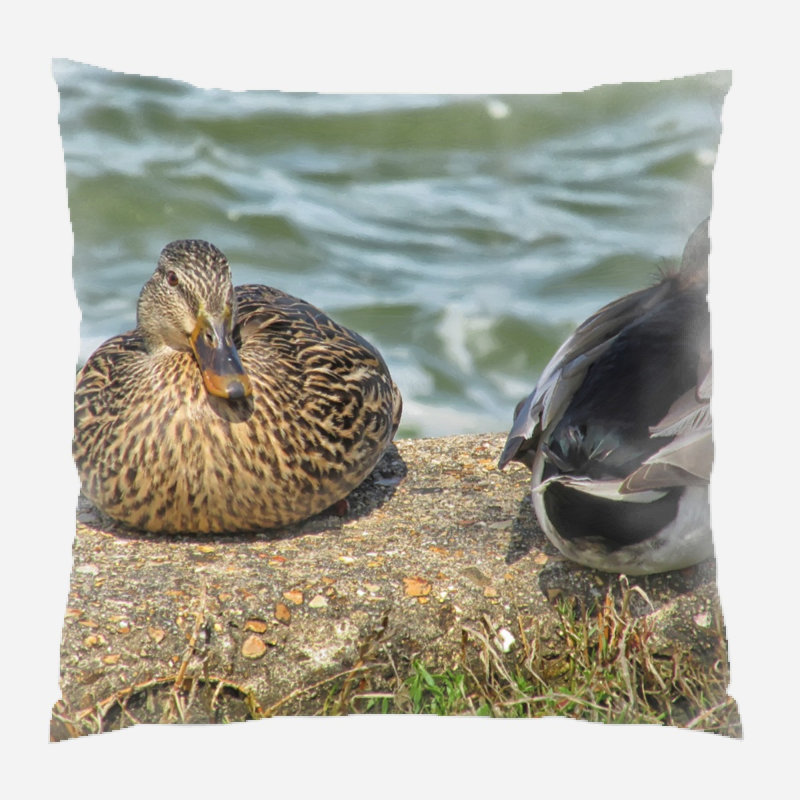 Coussin de canards Liliana, Intérieur, Microsuède