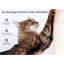 Odell 40 cm H Cat Scratchers