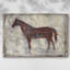 Toile tendue I-Gallery Iron Equine-1058735579