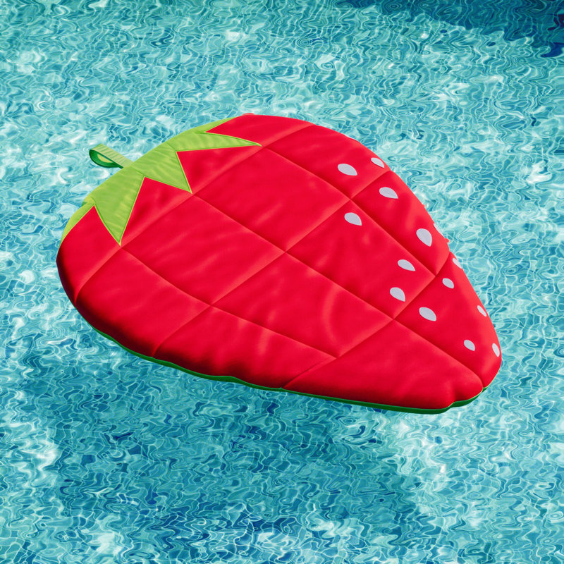 Big Joe Fruit Pool Float and Lounger
