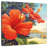 Harnek Hibiscus Beach Day-109358400