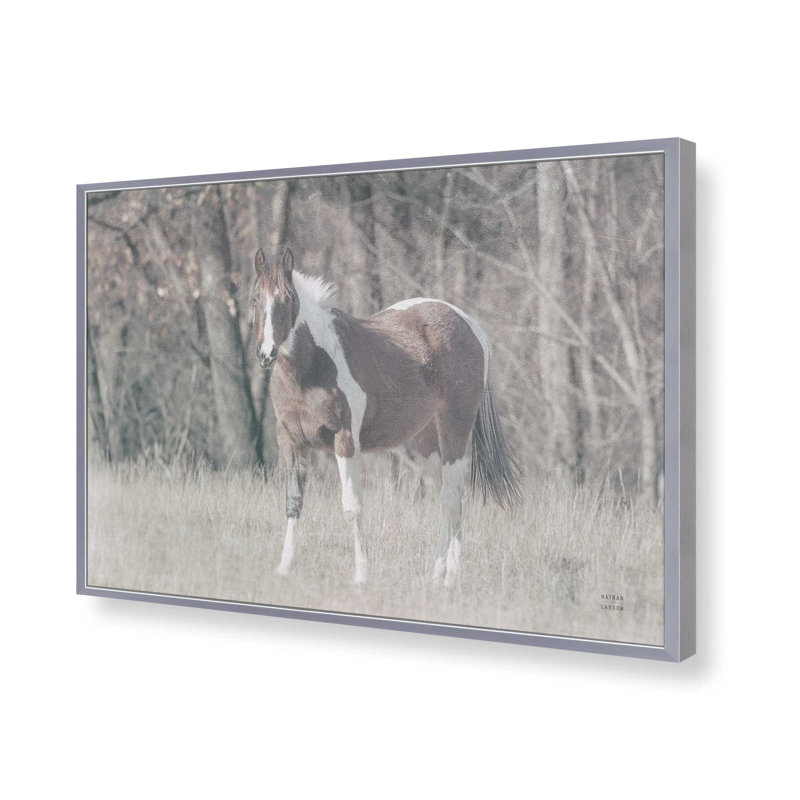 «Sunny Field III» par Nathan Larson, reproduction d'art, H 12 po x l 18 po, Argent argent