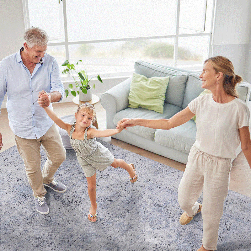 MAVAL Blue Washable Rug 9X12 Area Rug (Blue+Cream, 9'X12'), Rectangle 9' x 12'
