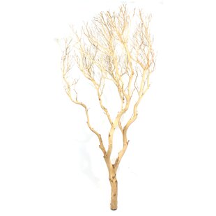 30 Birch Twigs Decorative Branches
