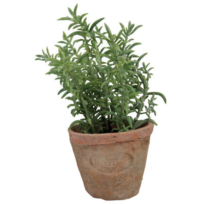 Artificial Thyme in Aged Terracotta Pot
