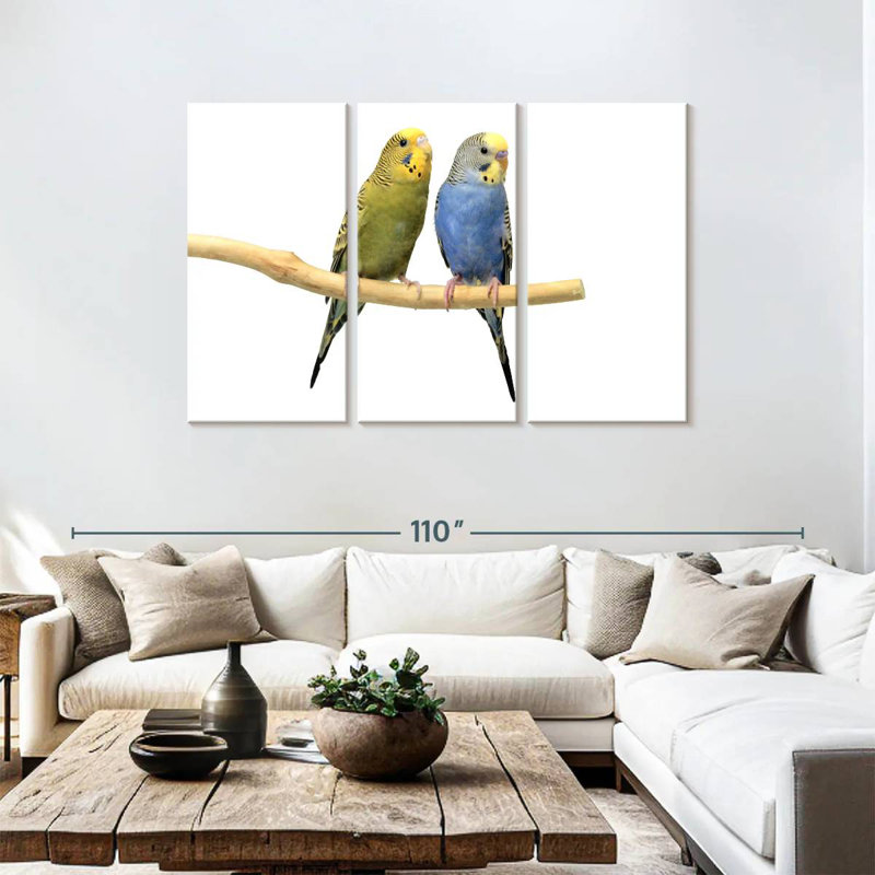 Parakeets, 48" H x 74" W