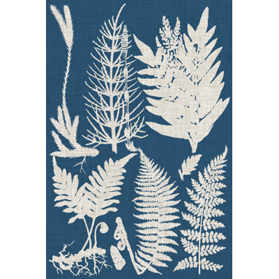 Linen & Blue Ferns II - Graphic Art Print