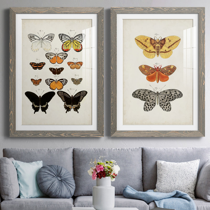 «Vintage Butterflies III», ensemble de 2 impressions encadrées, H 43,5 po x l 31,5 po x P 1 po, Cadre en papier gris