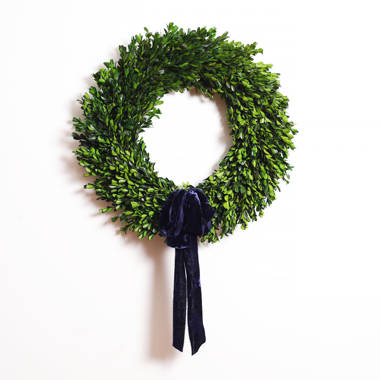 Mills Floral Preserved Boxwood Round Wreath Set with Ribbon