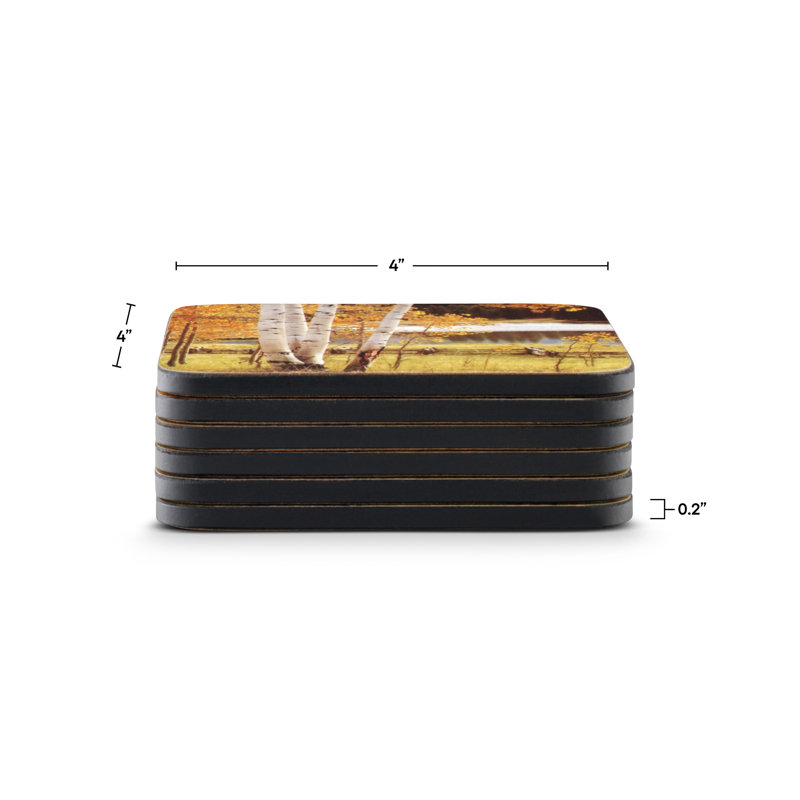 Sous-verres Pimpernel Birch Beauty 4 po x 4 po