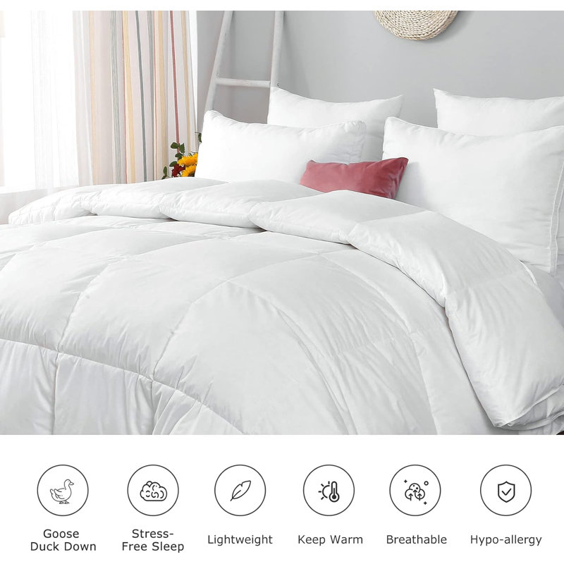 All Season Feather Down Comforter, Soft 100% Cotton Cover Bedding White Comforter, California King