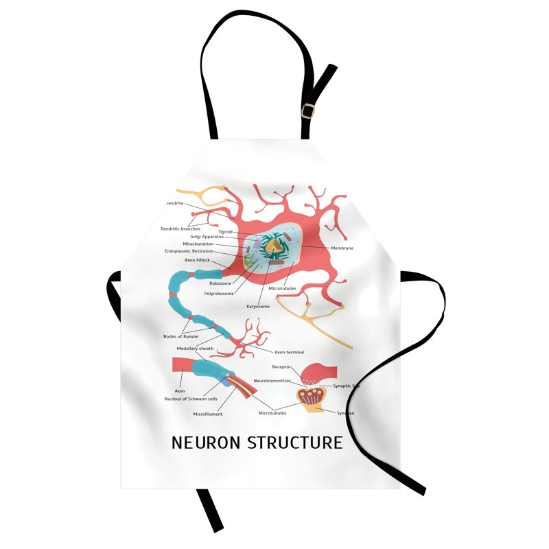 Tablier East Urban Home Anatomy