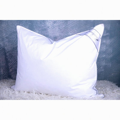 Luxury Down Comfort Pillow - Hotel Collection Standard Size - Premium Goose Feathers for Ultimate Sleeping Experience - 1 Pack