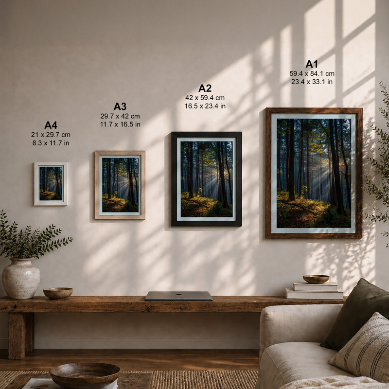 Light Through Woodland Scandinavian - Framed Print, A3 - 42.0 x 29.7 cm, Black
